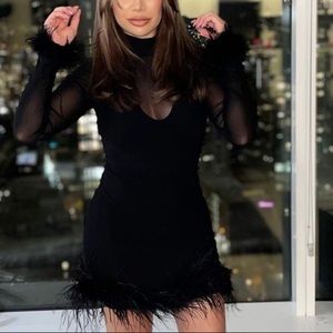 Long sleeve feather mini dress